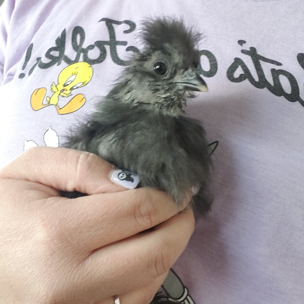 Meet your Posher, Trina